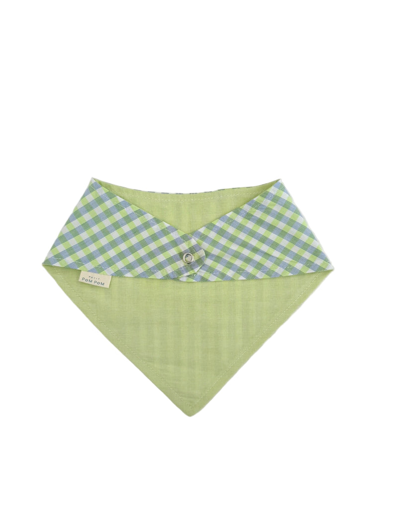 Bandana Bib | Green